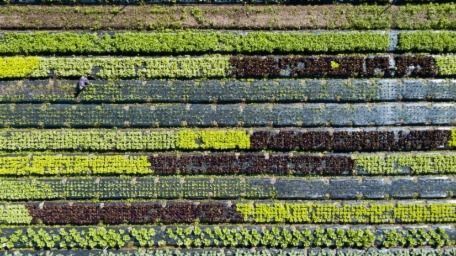 Supplier Engagement Sustainability Blog 2022